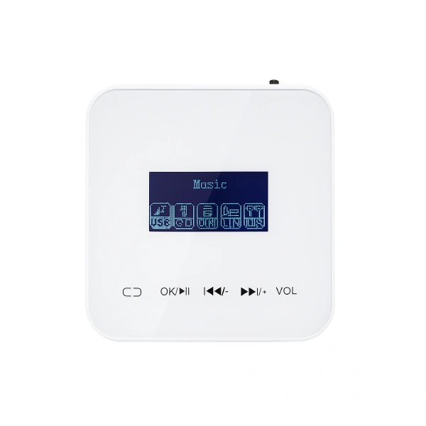 آمپلی فایر دیواری 2 اینچی